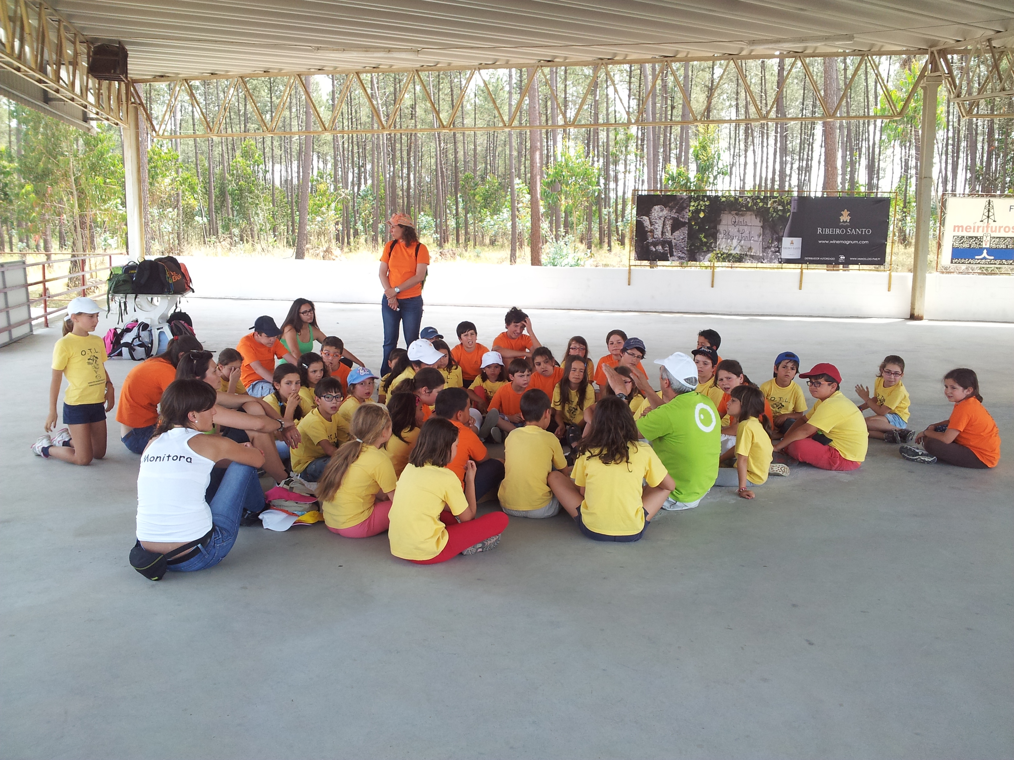 APEE OTL 20130